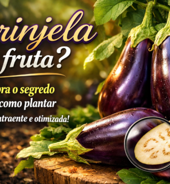 Imagem elegante com berinjelas roxas brilhantes em um jardim verde, acompanhadas do título “Berinjela é fruta? Descubra o segredo e veja como plantar de forma atraente e otimizada”, em tipografia sofisticada sobre fundo natural iluminado.