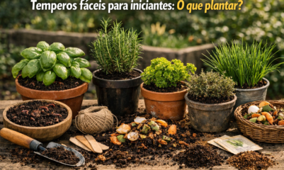 Temperos fáceis para iniciantes: O que plantar? — vasos de ervas frescas sobre mesa de madeira com húmus de minhoca e compostagem ao redor, em jardim iluminado pelo sol."