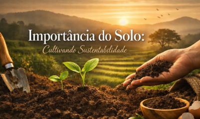 Solo fértil sendo cultivado de forma sustentável, representando a importância da terra para o meio ambiente.
