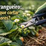 Mão com luva verde usando tesoura de poda para cortar uma flor branca de morangueiro em um canteiro, com folhas verdes e morangos ao redor. Título sobreposto: ‘Morangueiro: por que cortar as flores?